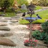 Bird Bath /Bird Feeder Bowl ( Amazon Shipping)(Prohibited by WalMart)