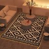 Outdoor Rug Carpet Reversible Plastic Straw Rug with LED Lights Black and White 12' x 9' for Patio
