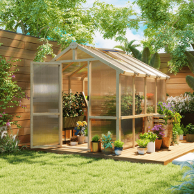 Greenhouse Walk-in Grow House (default: default title)